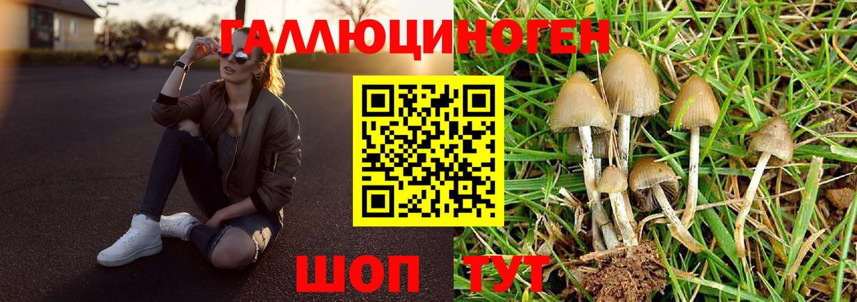 Псилоцибиновые грибы Magic Shrooms  Галлюциногенные грибы GOLDEN TEACHER  Вход с VPN  Старая Купавна 